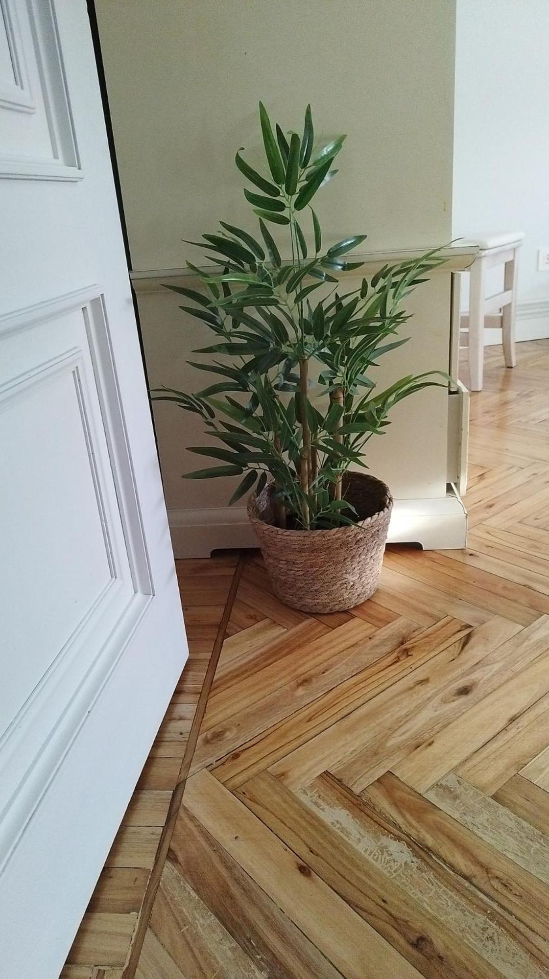 Appartamento Casa Angela Santoña Esterno foto